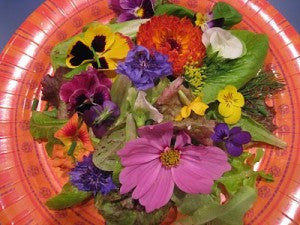 Edible Tropical Flowers