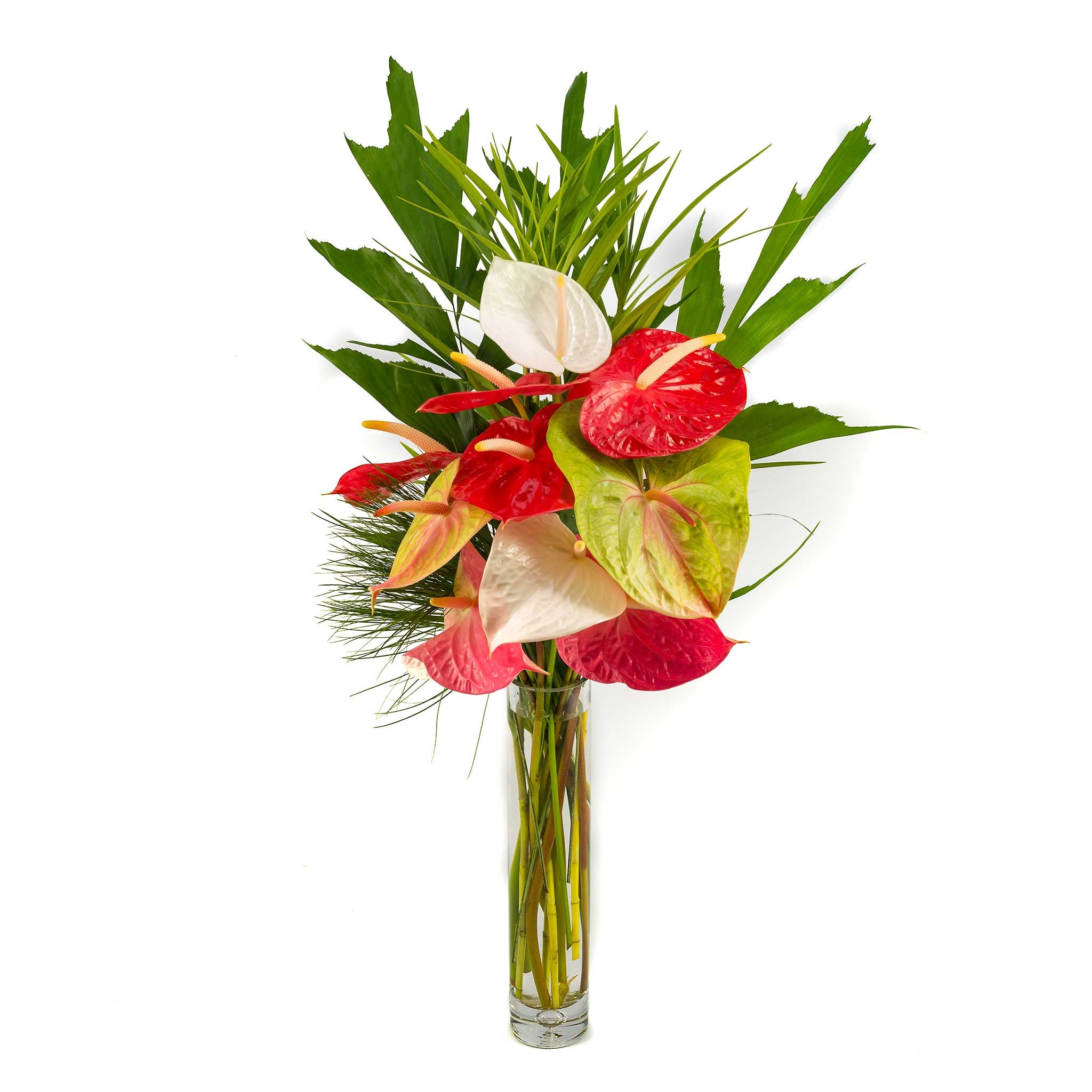 anthurium gift Anthurium Bouquet :: Heart-Shaped Anthuriums :: Hana Flower Company